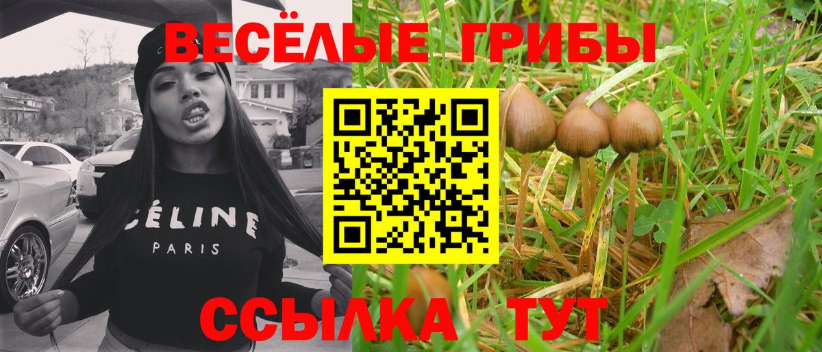Петрозаводск  Псилоцибиновые грибы прущие грибы  Галлюциногенные грибы Magic Shrooms  Вход с VPN 
